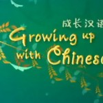 100 Videos to Learn Chinese