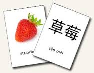 chinese flash card
